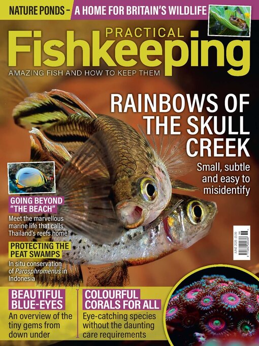 Cover image for Practical Fishkeeping